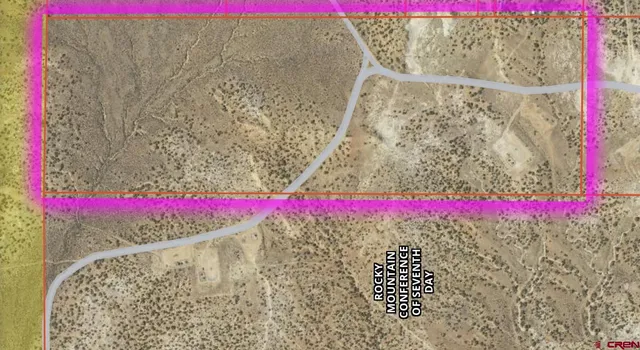 a view of a street with tall trees