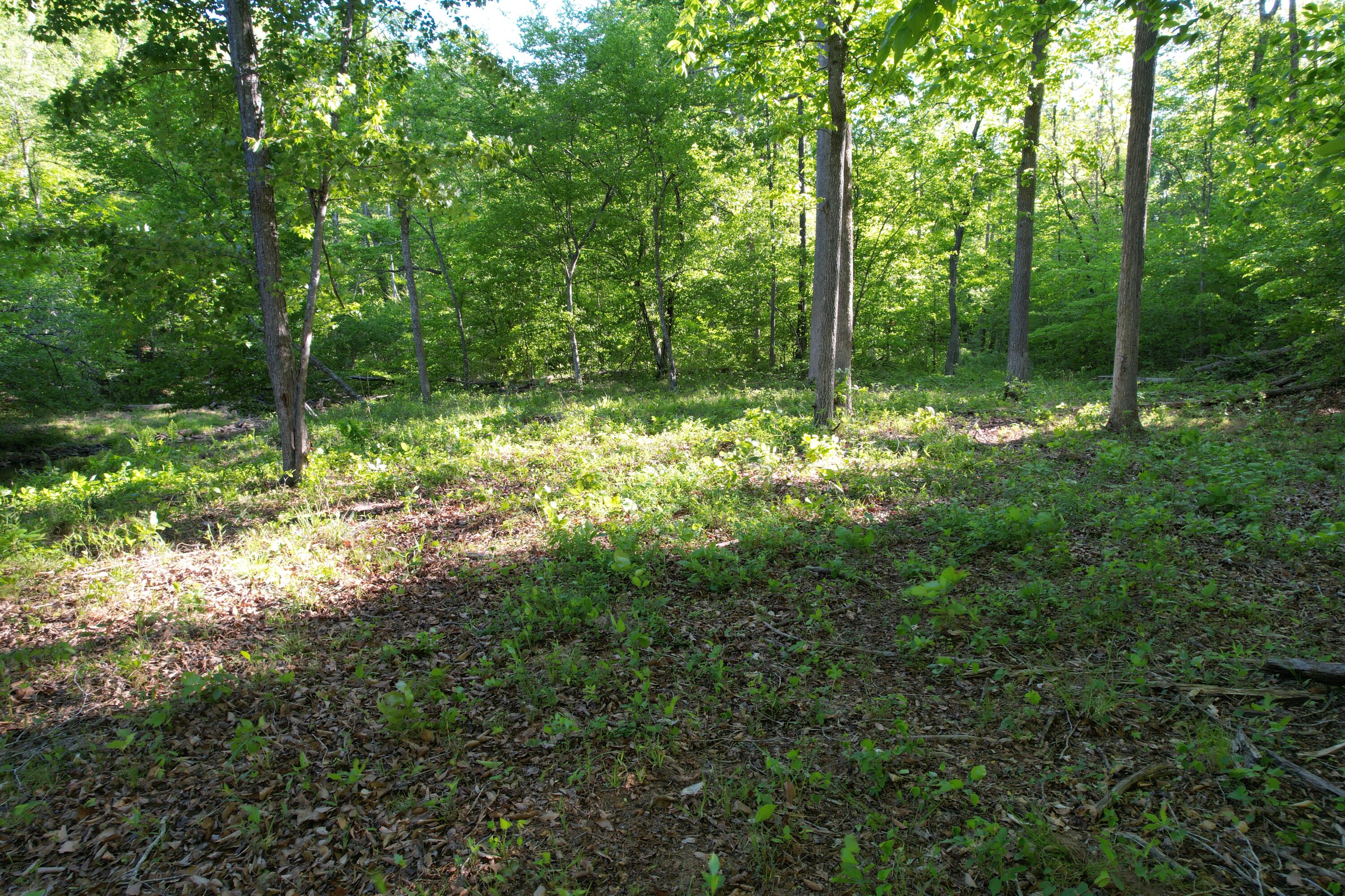 0 Webster Road Glade Hill, VA 24092 - Photo 35 of 65 DJI_0481