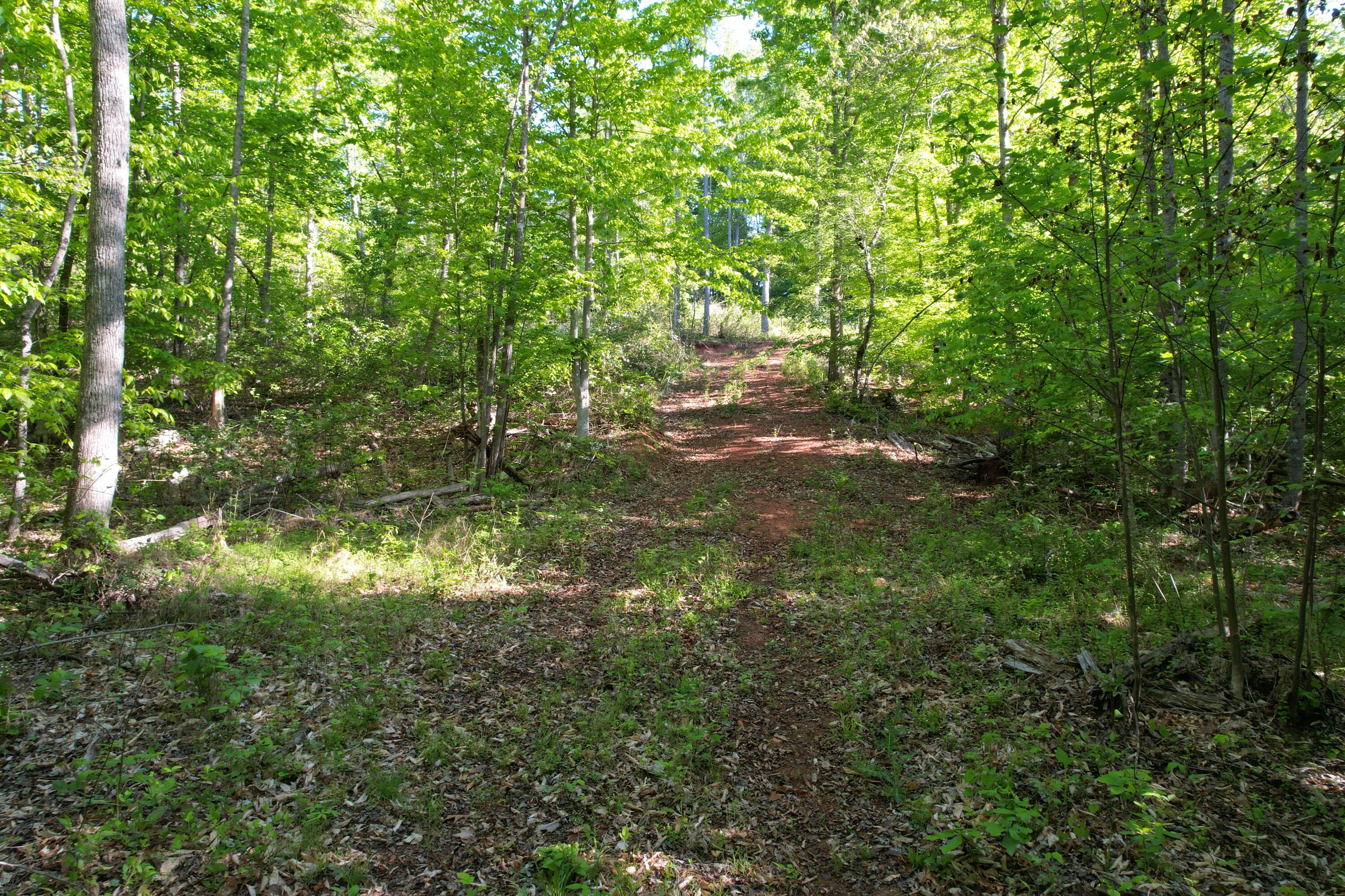0 Webster Road Glade Hill, VA 24092 - Photo 54 of 65 DJI_0499