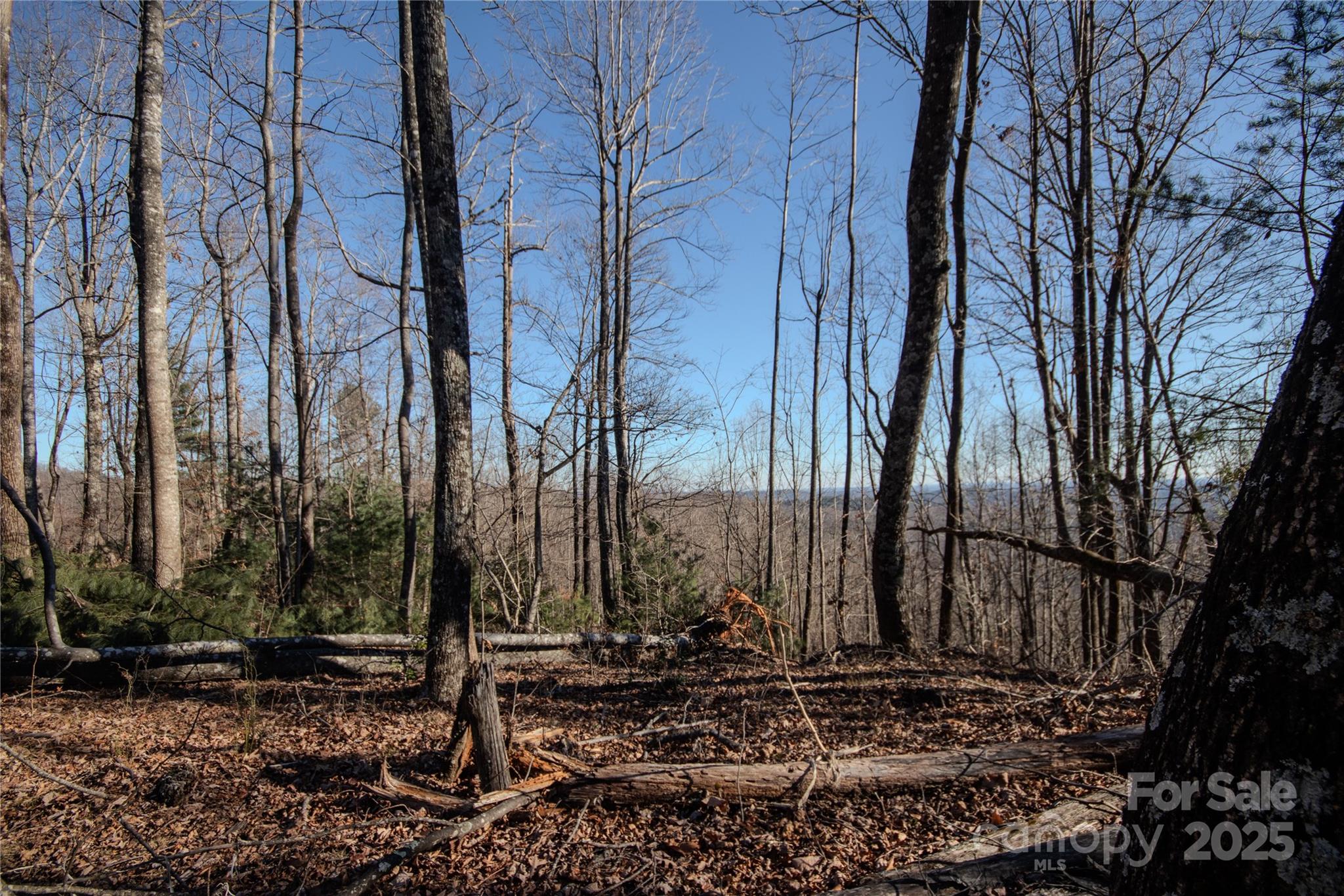 2211 Nighthawk Ridge Court, Unit 22 Lenoir, NC 28645 - Photo 11 of 12 a view of a backyard of the house