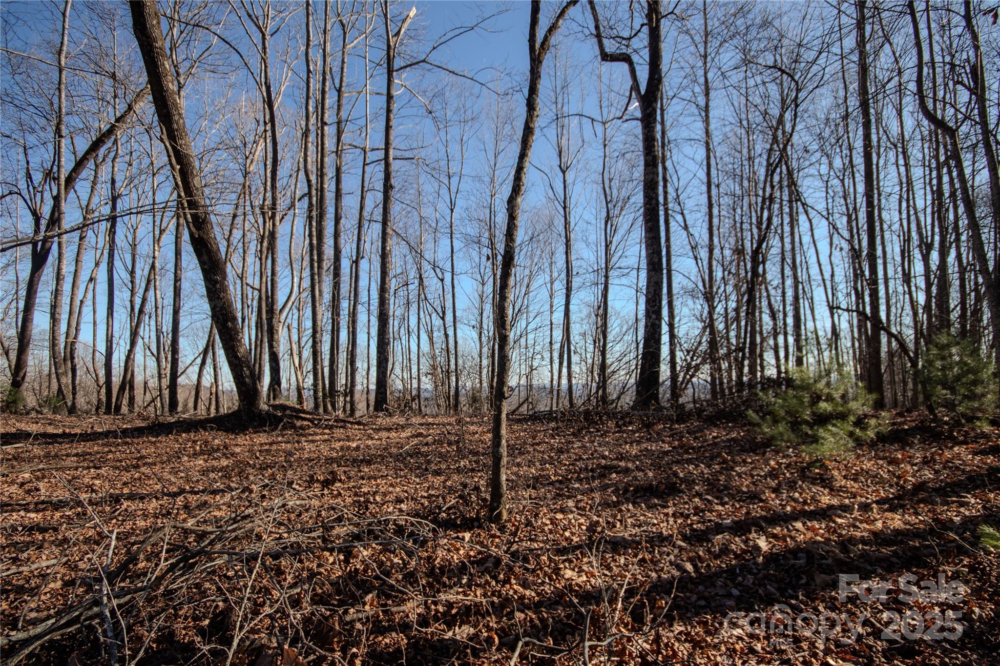 2211 Nighthawk Ridge Court, Unit 22 Lenoir, NC 28645 - Photo 4 of 12 a view of a backyard with trees