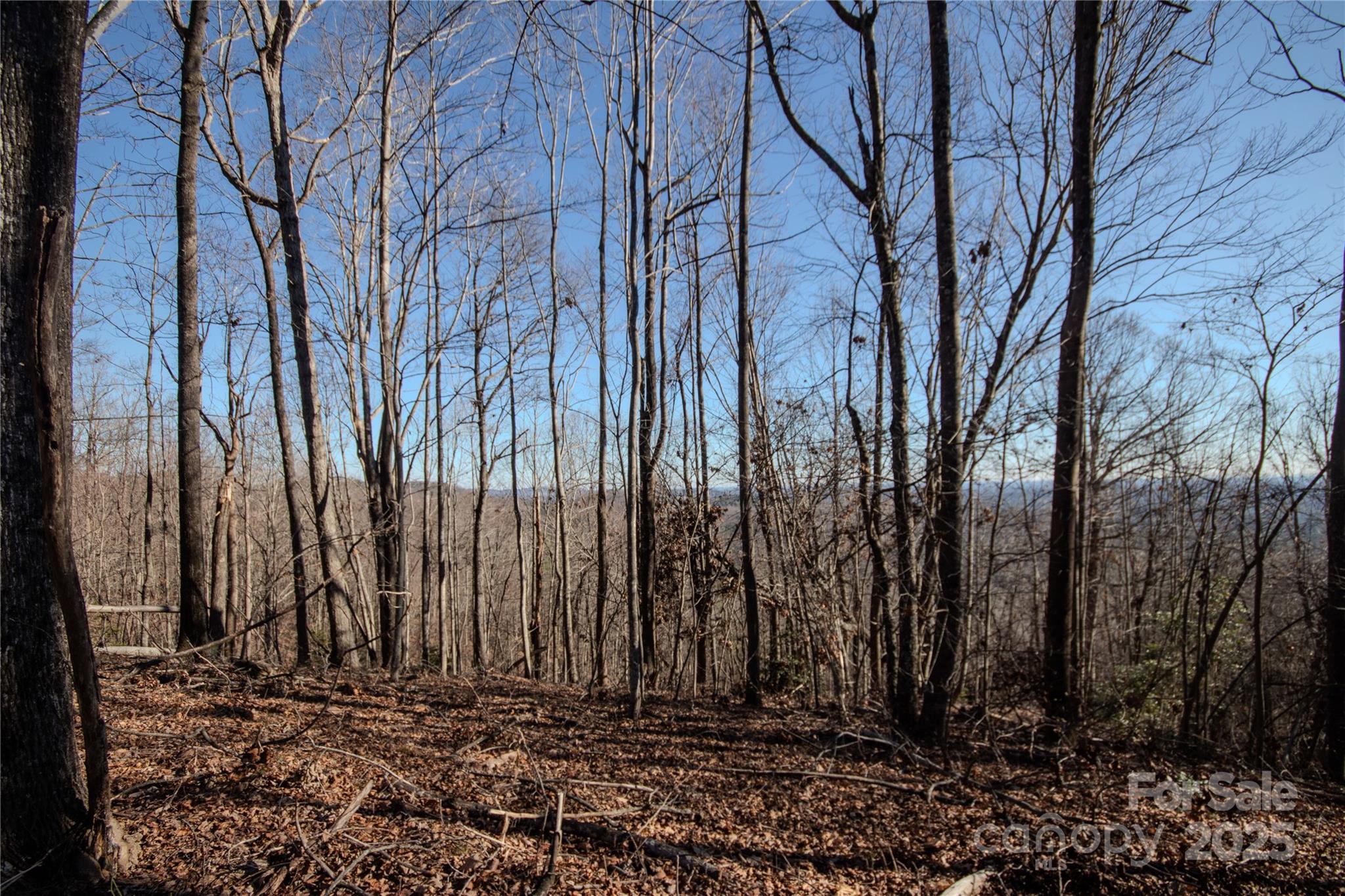 2211 Nighthawk Ridge Court, Unit 22 Lenoir, NC 28645 - Photo 5 of 12 a view of a backyard of the house