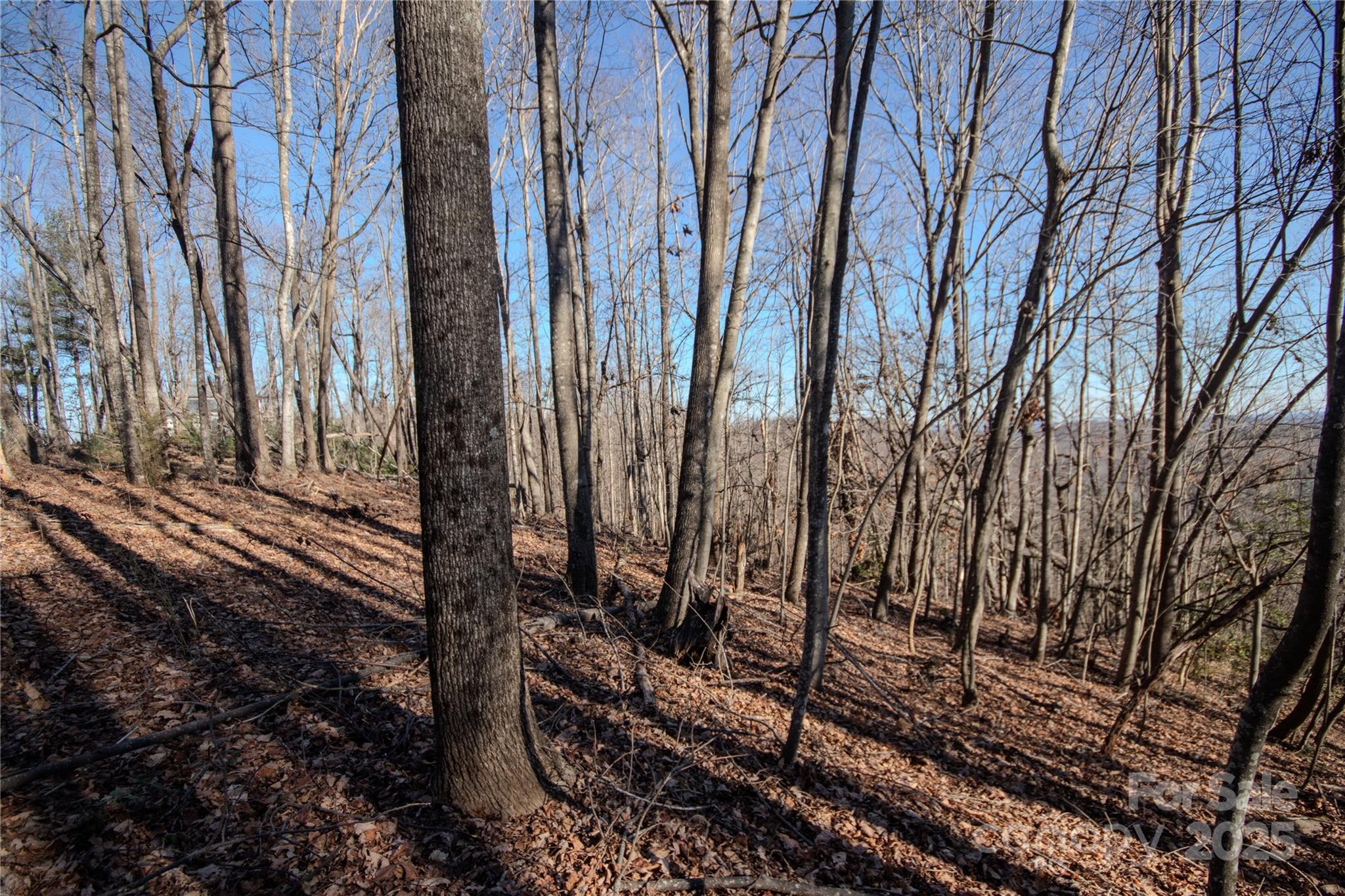 2211 Nighthawk Ridge Court, Unit 22 Lenoir, NC 28645 - Photo 7 of 12 a view of a yard with trees