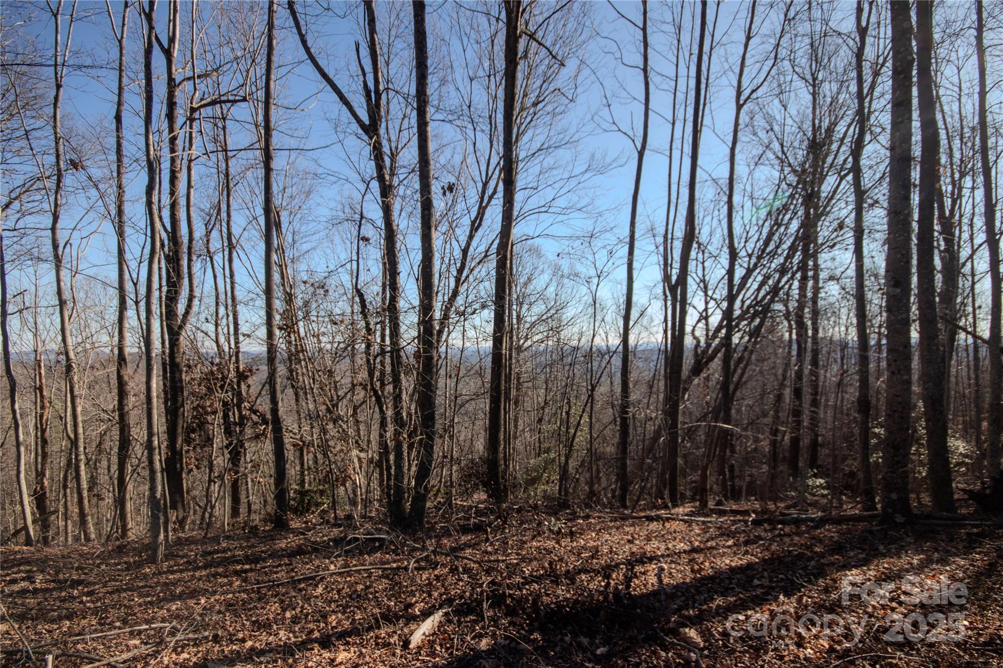 2211 Nighthawk Ridge Court, Unit 22 Lenoir, NC 28645 - Photo 8 of 12 a view of a backyard with large trees