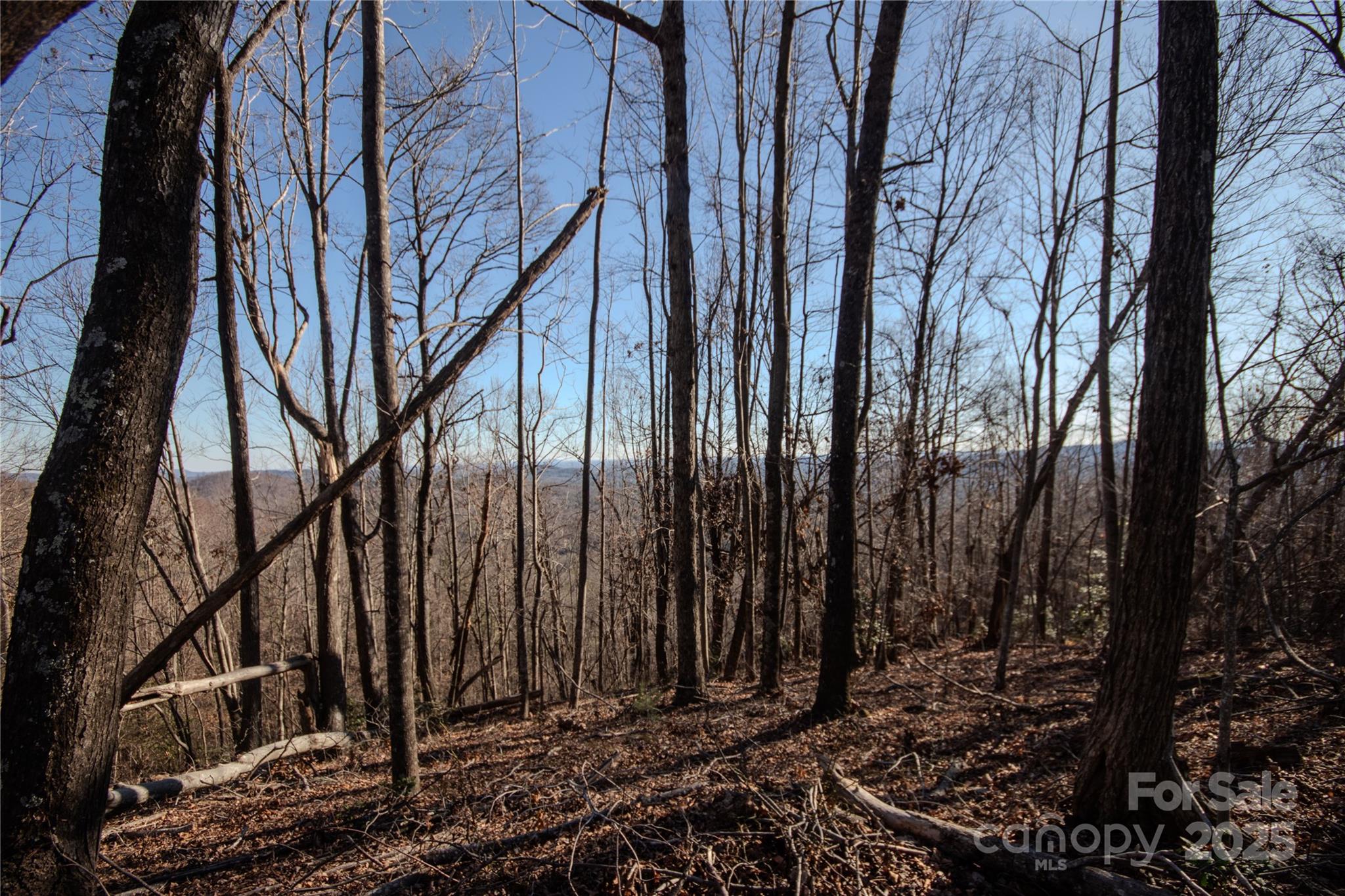 2211 Nighthawk Ridge Court, Unit 22 Lenoir, NC 28645 - Photo 9 of 12 a view of a backyard of the house