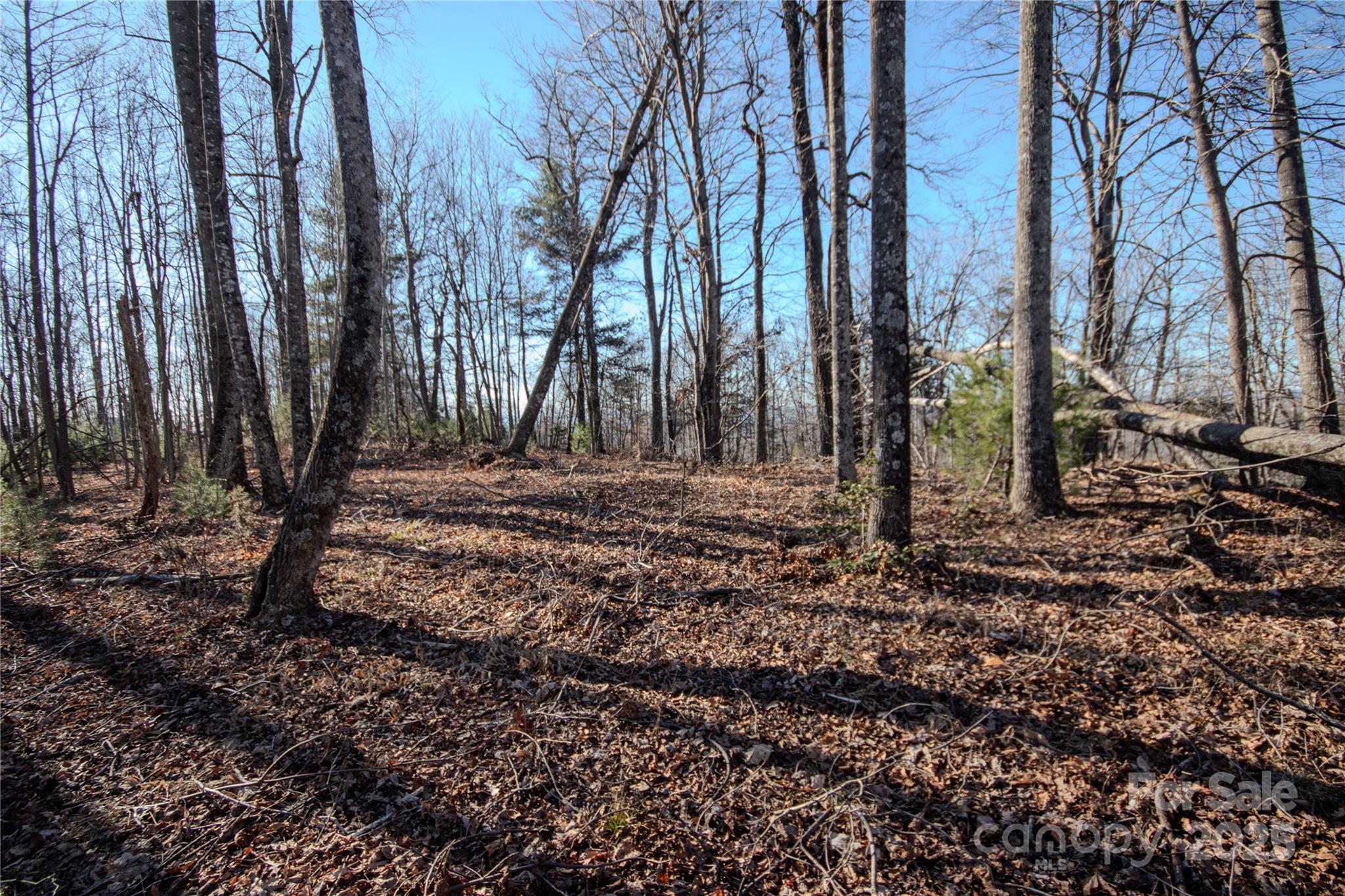 2211 Nighthawk Ridge Court, Unit 22 Lenoir, NC 28645 - Photo 10 of 12 a view of a backyard with large trees