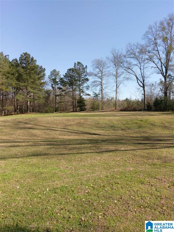 4280 County Road 25, Unit 1 Jemison, AL 35085 - Photo 4 of 6