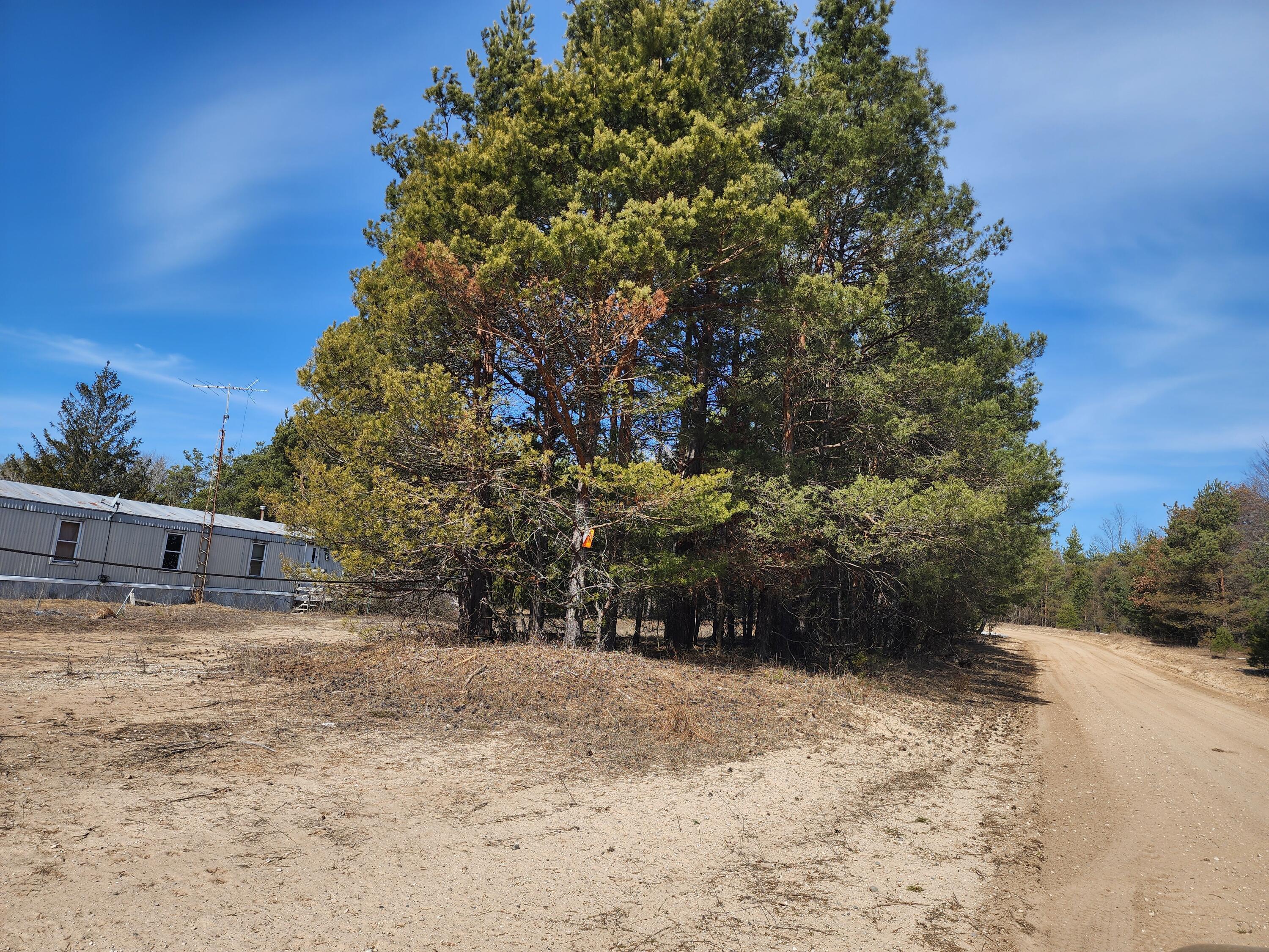 2251 South 144th Avenue Hesperia, MI 49421 - Photo 2 of 2 1000035496