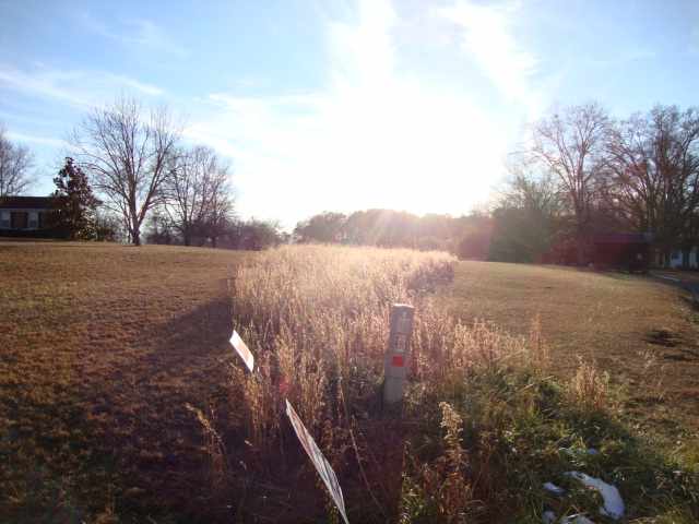 32.01-acres Joyce Road Liberty, SC 29657 - Photo 1 of 7 Gallery Image 1