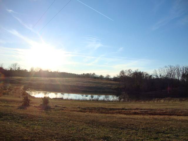 32.01-acres Joyce Road Liberty, SC 29657 - Photo 3 of 7 Gallery Image 3