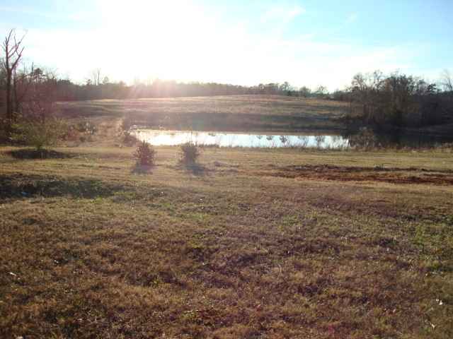 32.01-acres Joyce Road Liberty, SC 29657 - Photo 4 of 7 Gallery Image 4