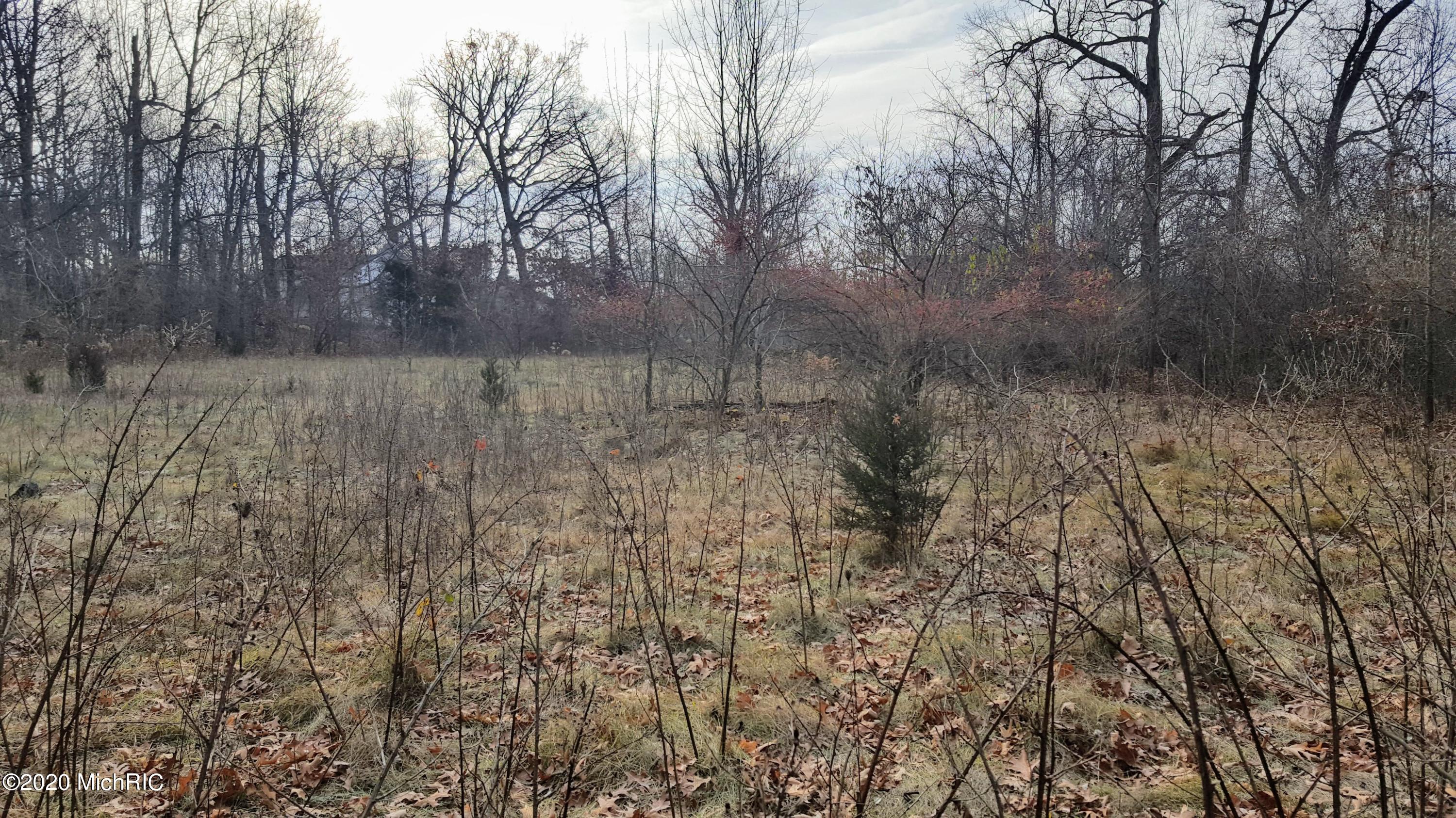 0 Eaman Road Benton Harbor, MI 49022 - Photo 13 of 15 20201215_104241