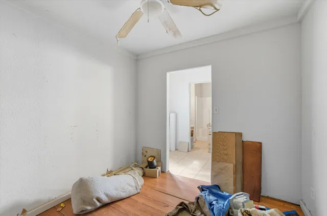 a view of a street with a tree