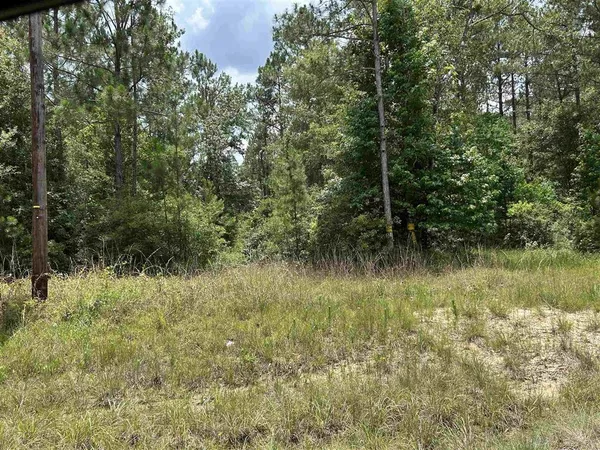 $564,000 | 389 Highway Merryville La, Merryville, LA 70653