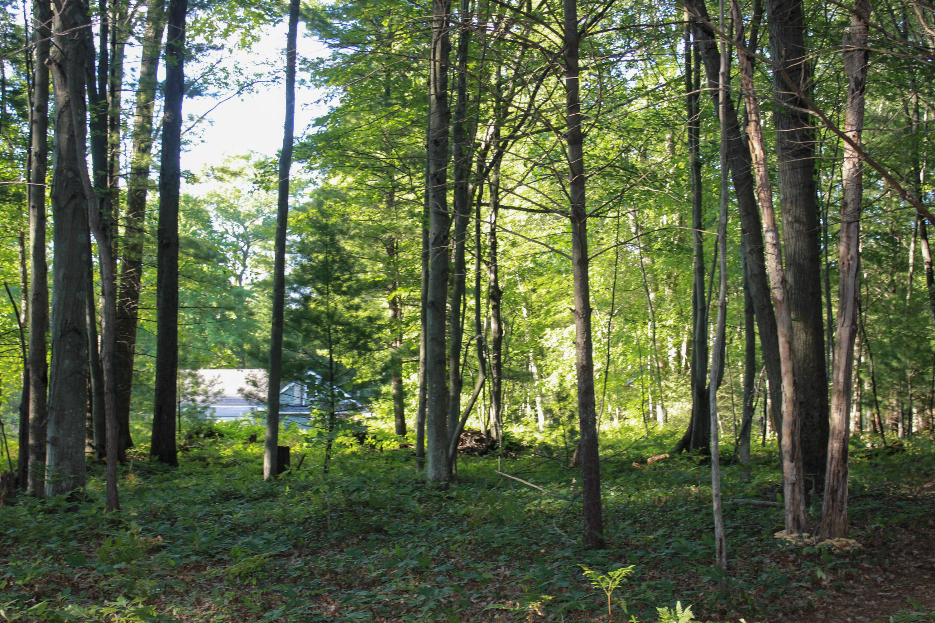 3429 West Giles Road Muskegon, MI 49445 - Photo 55 of 58 2-IMG_9748