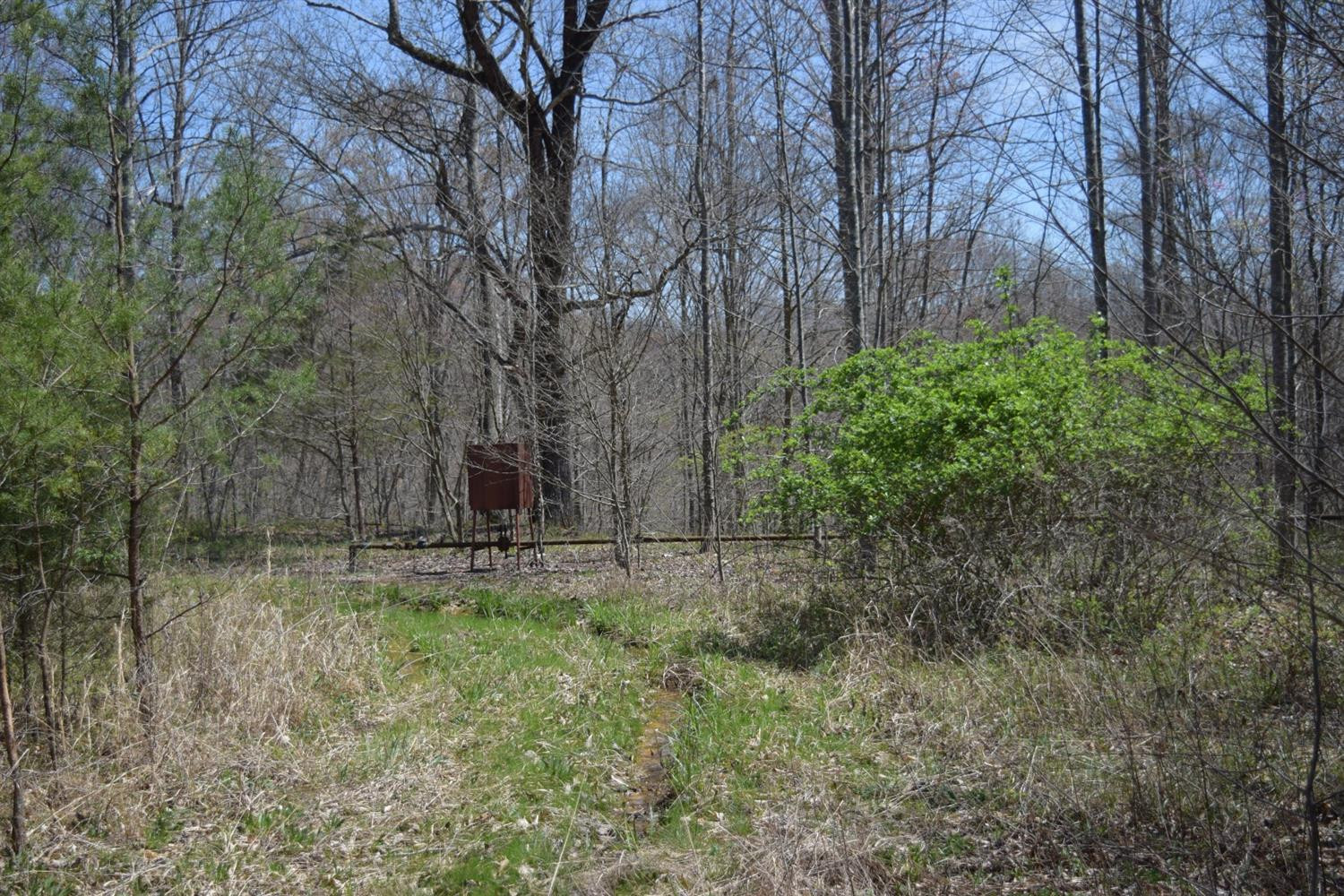9999 Teges Creek Road Manchester, KY 40962 - Photo 5 of 32 Photo 5