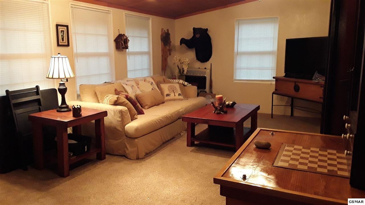 352 Warrior Ridge Way Cosby, TN 37722 - Photo 23 of 23 a living room with furniture and a flat screen tv