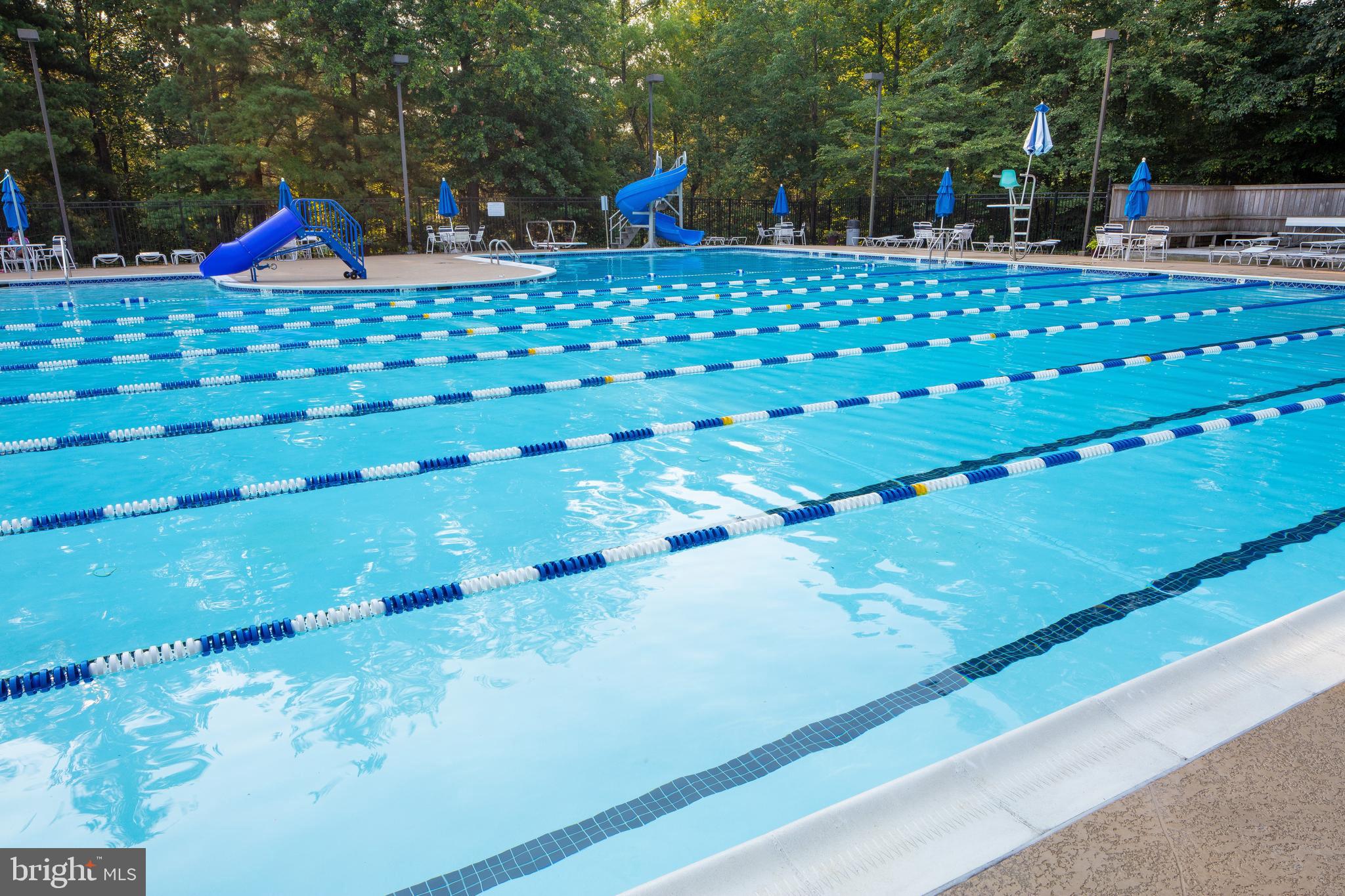 7804 Wintercress Lane Springfield, VA 22152 - Photo 54 of 64 Swimming pool