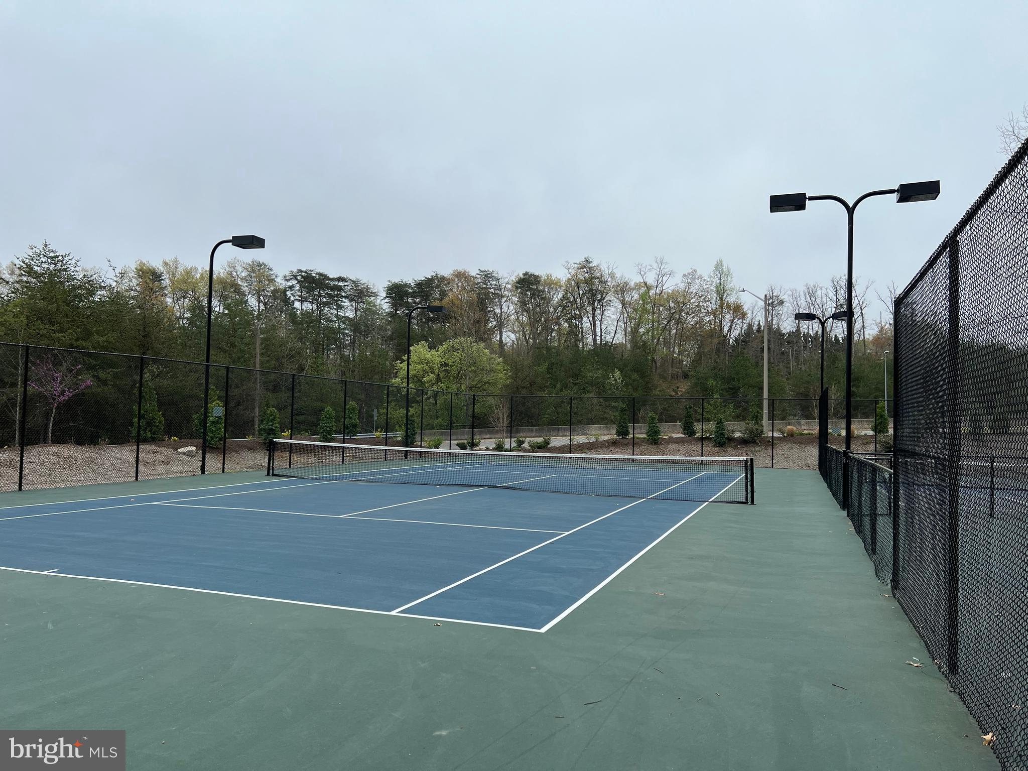 7804 Wintercress Lane Springfield, VA 22152 - Photo 55 of 64 Tennis court