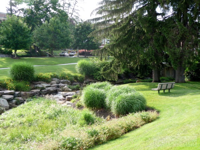 C-23 Broken Arrow Trail Boone, NC 28607 - Photo 8 of 11 a view of a garden with a tree