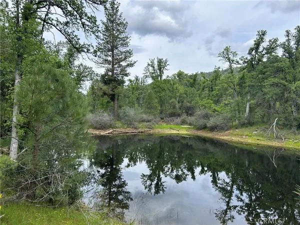 $130,000 | 5-ac 5-ac Placer Lane, Mariposa, CA 95338