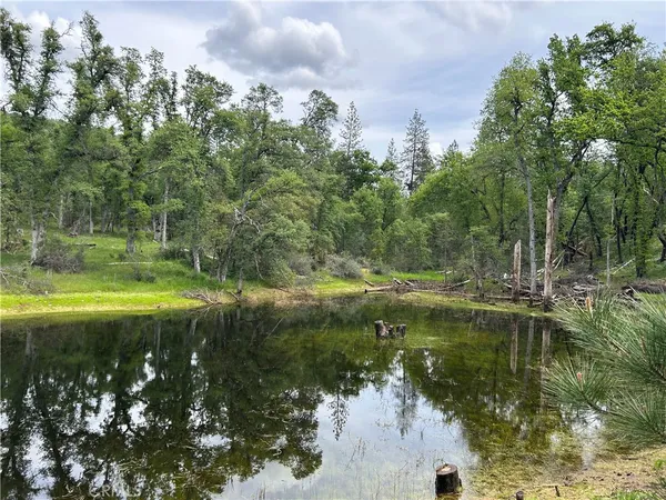 $130,000 | 5-ac 5-ac Placer Lane, Mariposa, CA 95338