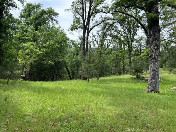 $130,000 | 5-ac 5-ac Placer Lane, Mariposa, CA 95338