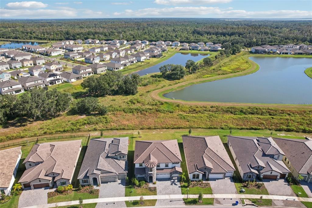 14930 Rider Pass Drive Lithia, FL 33547 - Photo 53 of 63 a view of residential houses with outdoor space and ocean view