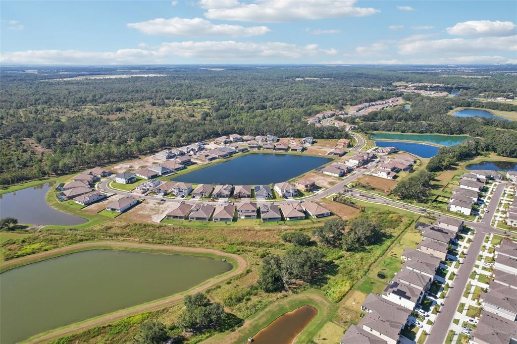 14930 Rider Pass Drive Lithia, FL 33547 - Photo 61 of 63