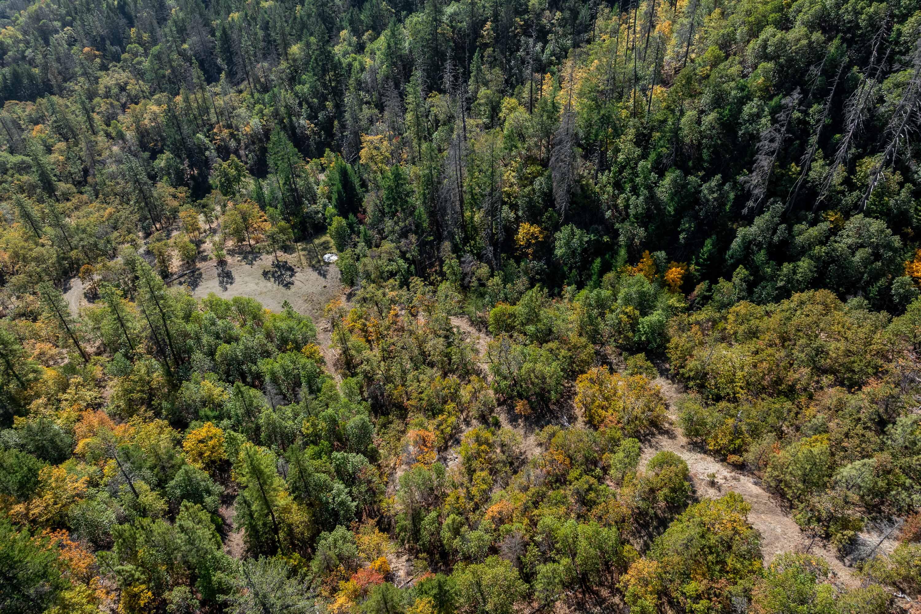 0 Sardine Creek Road Gold Hill, OR 97525 - Photo 7 of 20 DRONE (6 of 10)