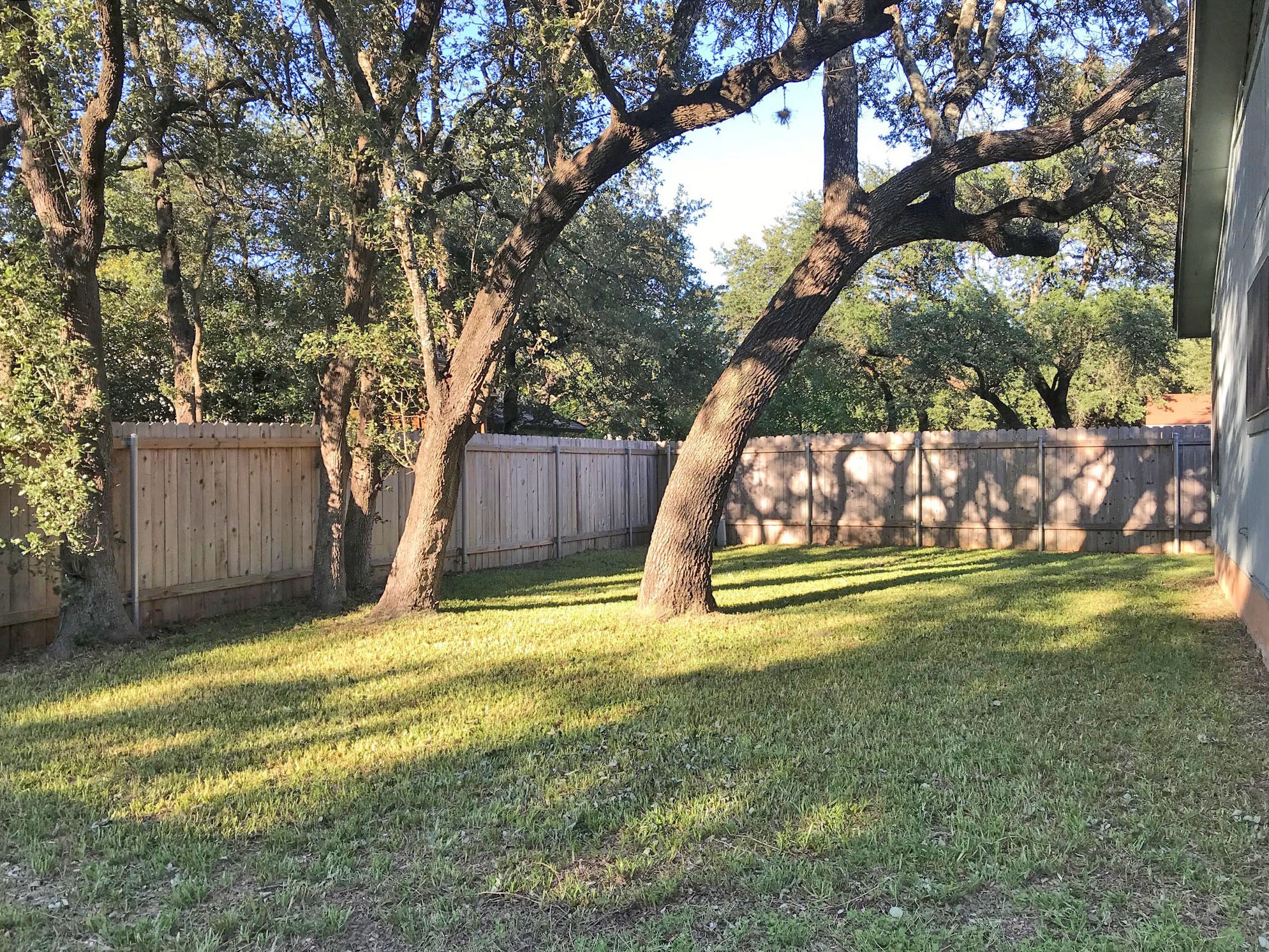 7010 Dallas Drive Austin, TX 78729 - Photo 13 of 14 a view of swimming pool with a yard