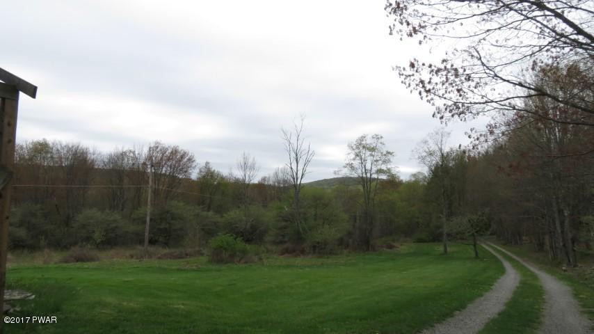 70 Moody Road Pleasant Mount, PA 18453 - Photo 53 of 67 long driveway to house
