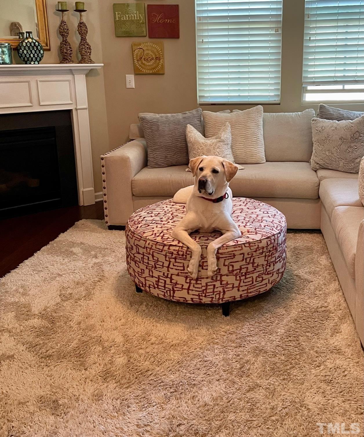 2456 Baslow Drive Apex, NC 27539 - Photo 24 of 39 a living room with furniture a fireplace and a large window