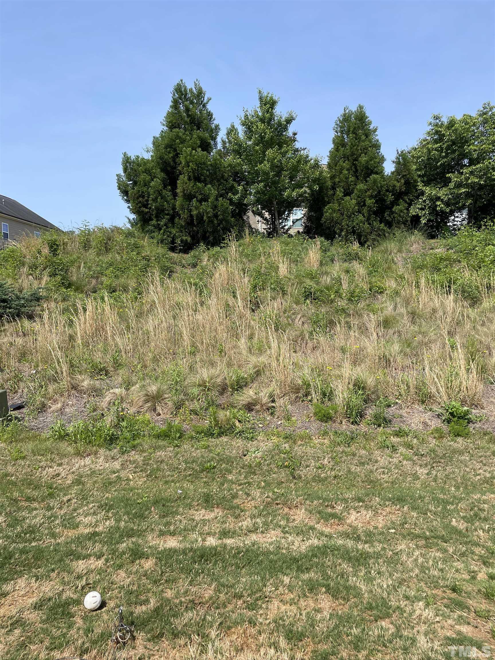 2456 Baslow Drive Apex, NC 27539 - Photo 6 of 39