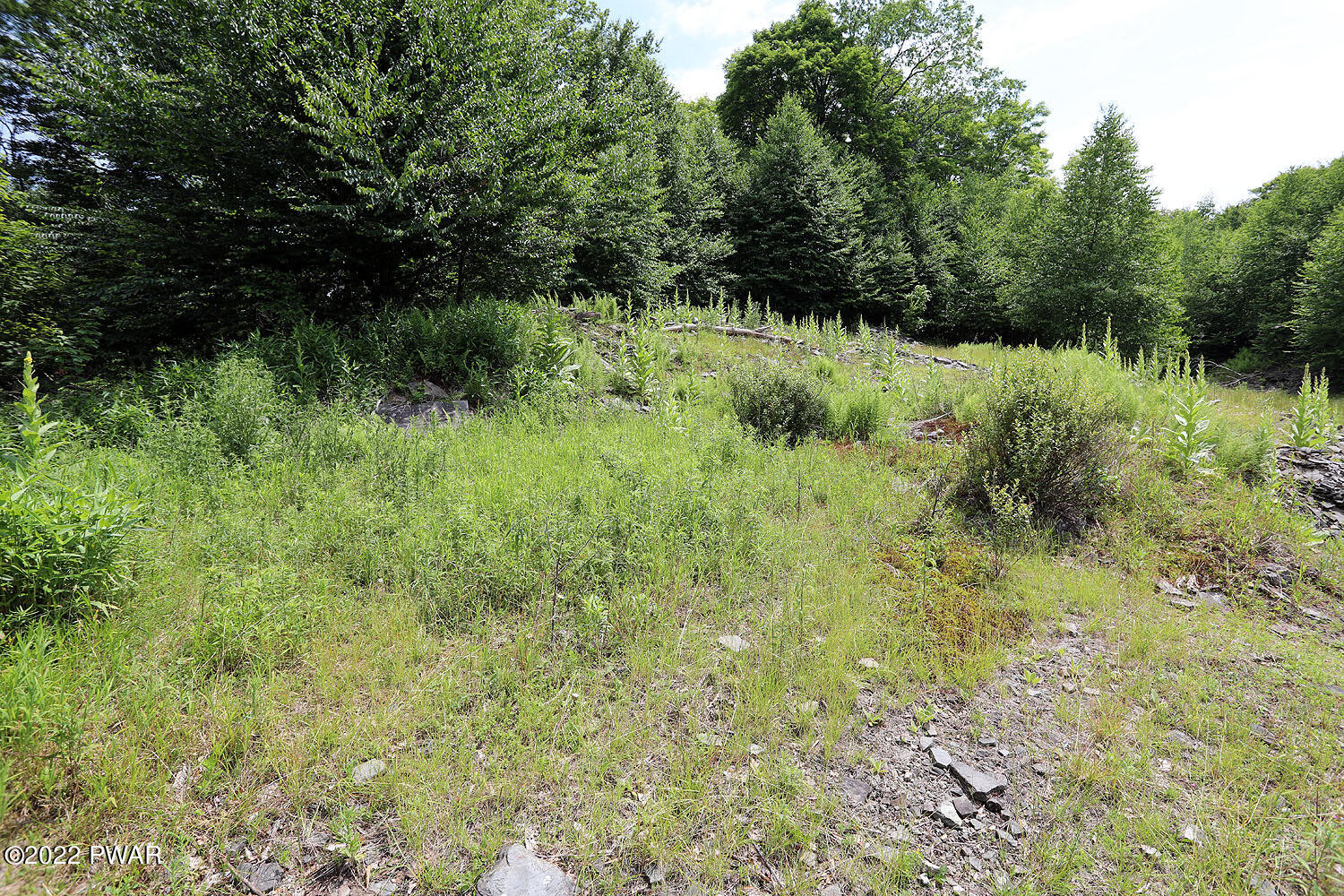 0 Minckler Mountain Road Damascus, PA 18415 - Photo 19 of 43