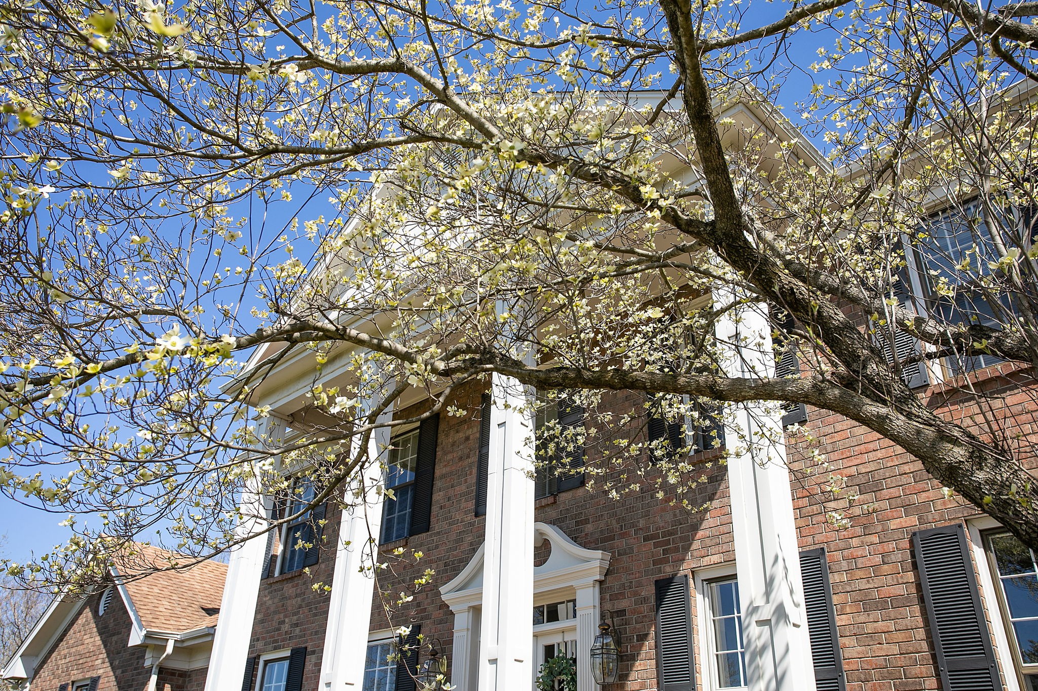 9310 Concord Road Brentwood, TN 37027 - Photo 12 of 70