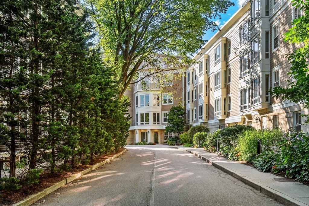 2-14 St Paul Street, Unit 311 Brookline, MA 02446 - Photo 20 of 29 a view of a building with a street