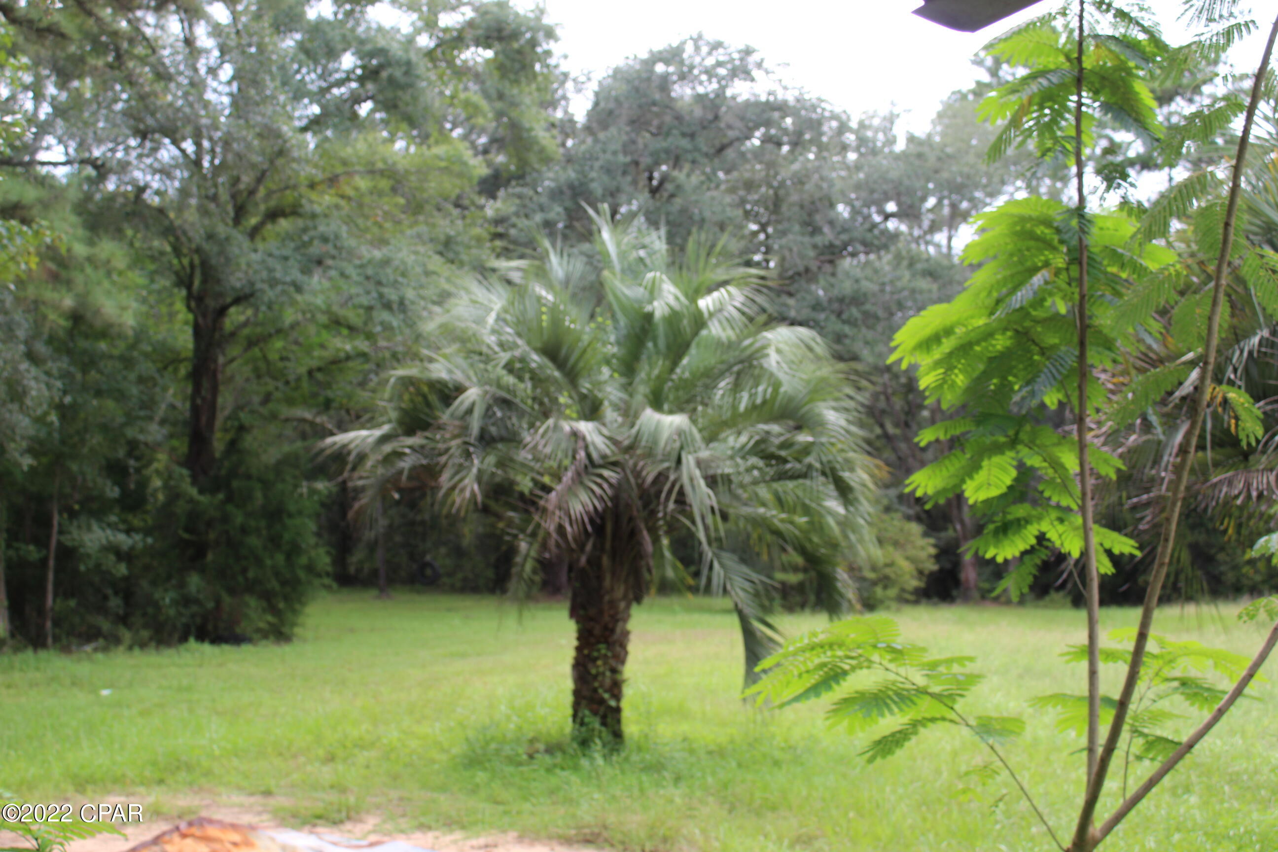 4506 Clemmons Road Vernon, FL 32462 - Photo 16 of 16