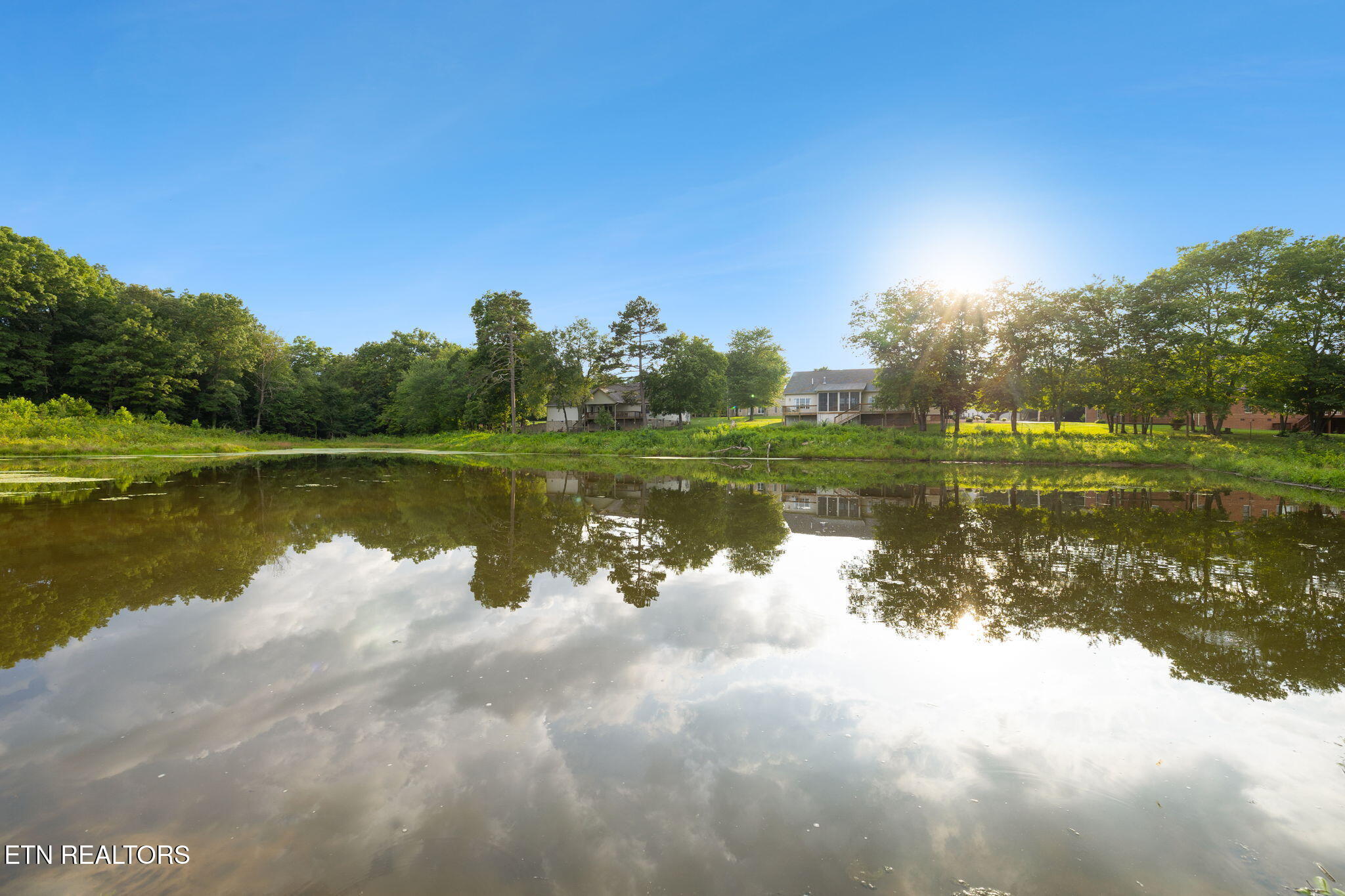 3173 Genesis Road Crossville, TN 38571 - Photo 54 of 60 Pond