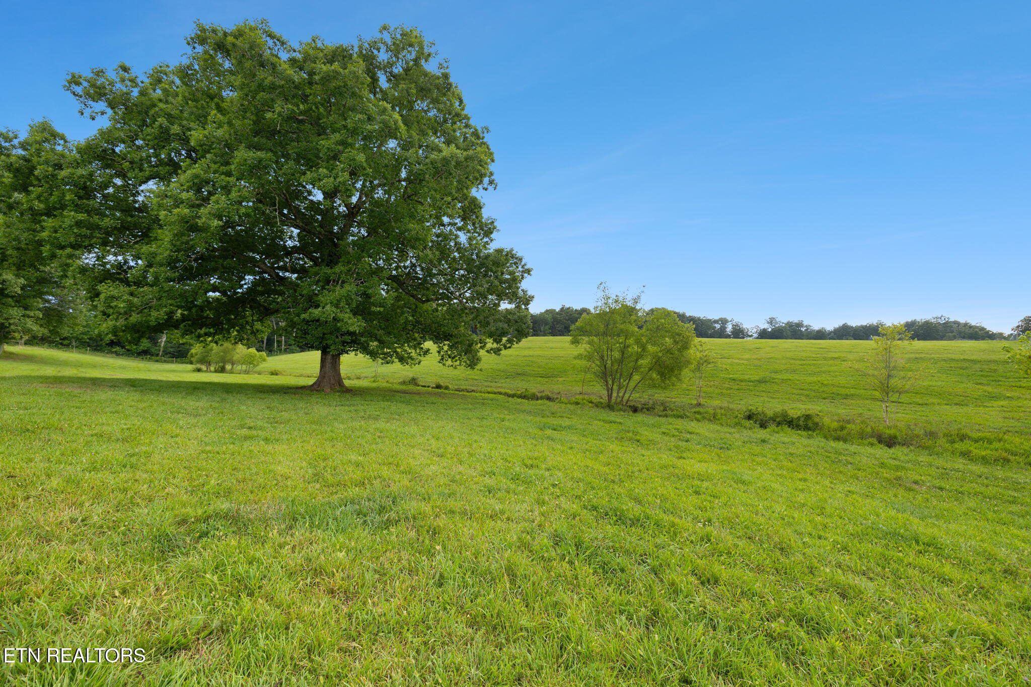 3173 Genesis Road Crossville, TN 38571 - Photo 58 of 60 Fields