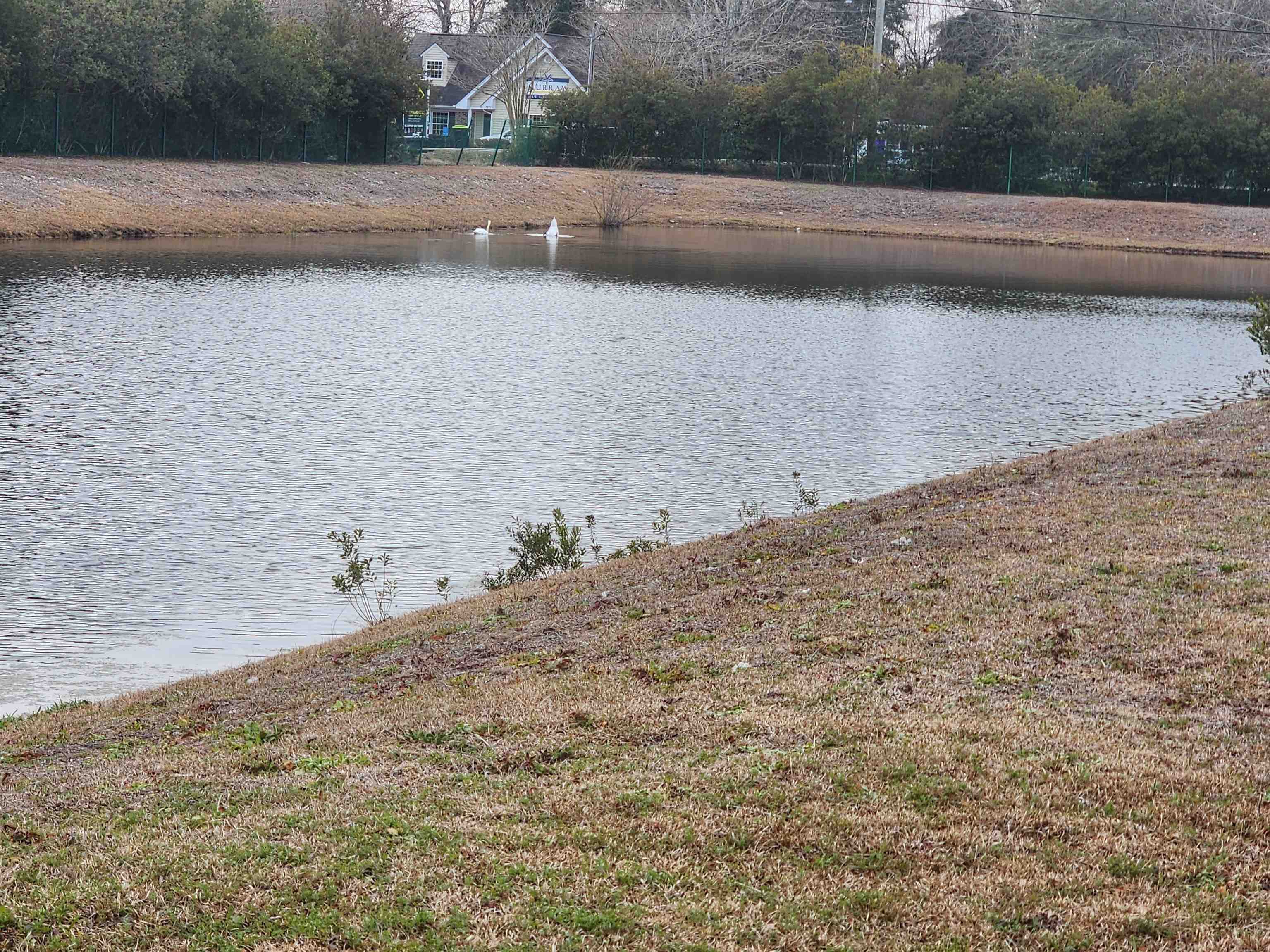 1356 Glenns Bay Road Surfside Beach, SC 29575 - Photo 2 of 5