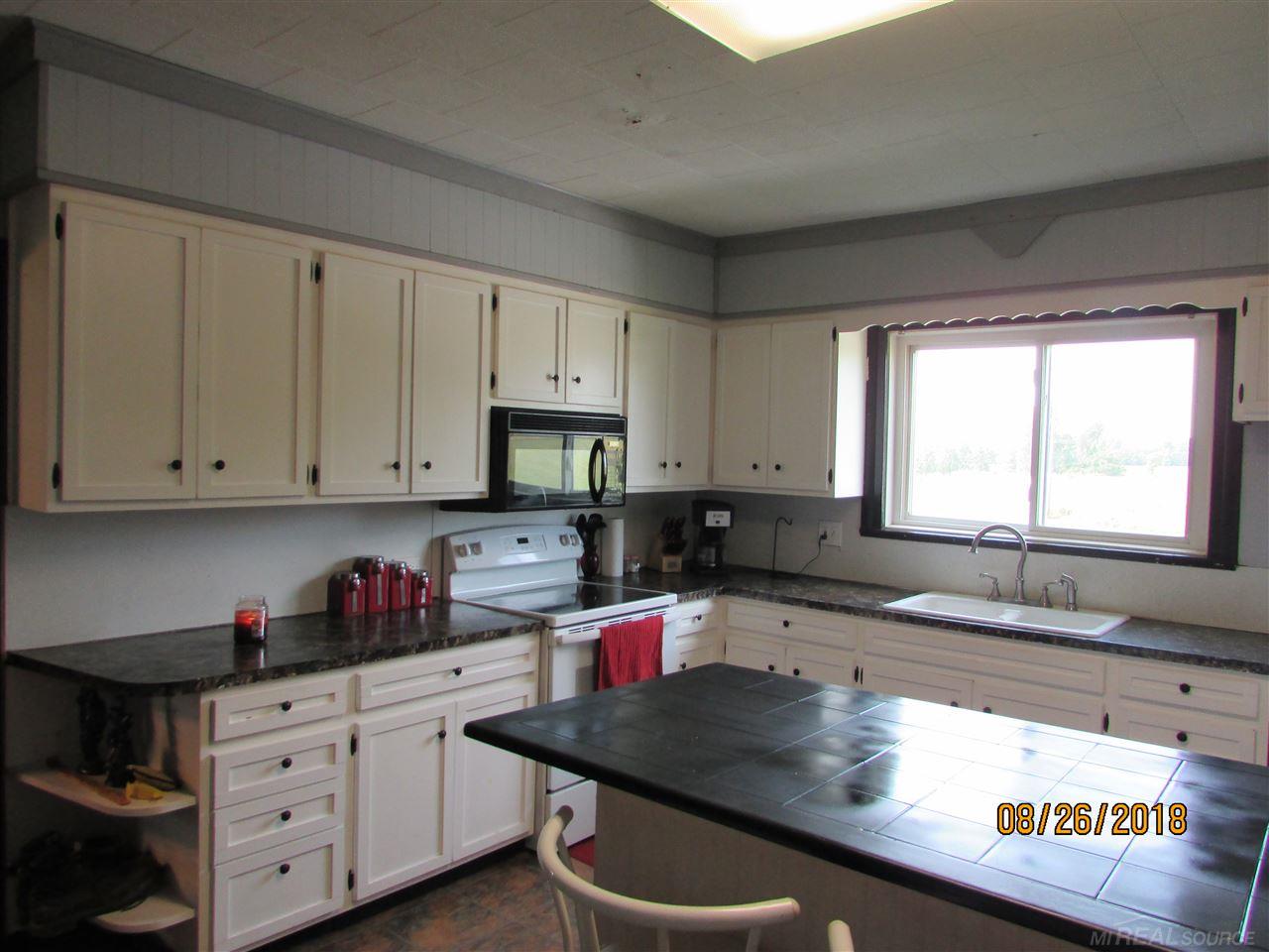 6271 Wildcat Road Croswell, MI 48422 - Photo 2 of 32 31375193-1.JPG