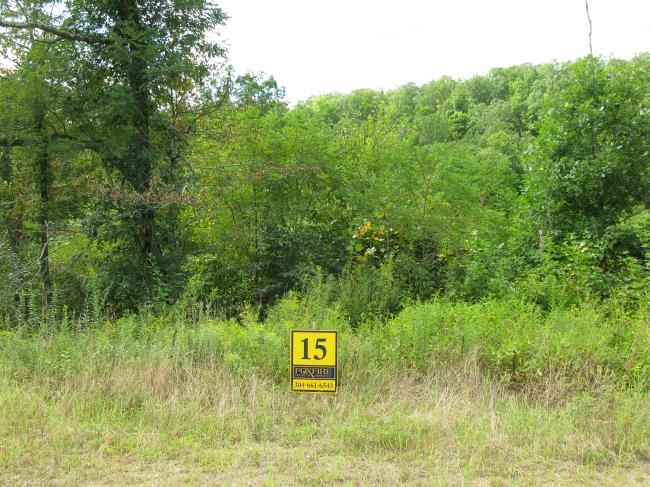 Lot #15 Spice Run Road Hillsboro, WV 24946 - Photo 1 of 7 Spice Run Lot 15