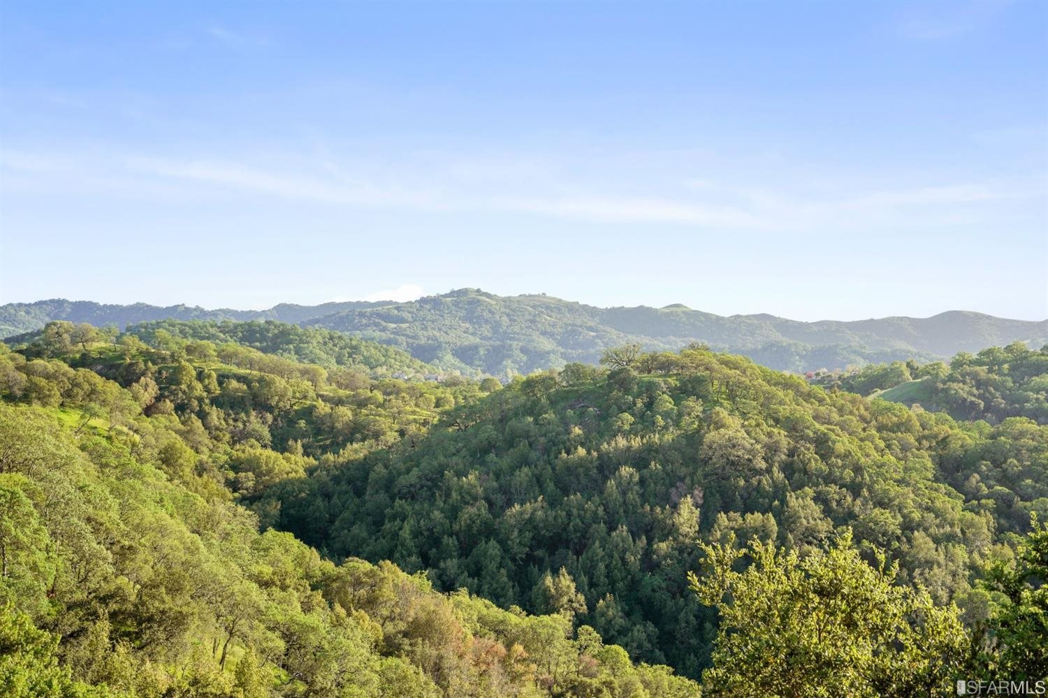 320 Castle Crest Road Alamo, CA 94507 - Photo 75 of 93