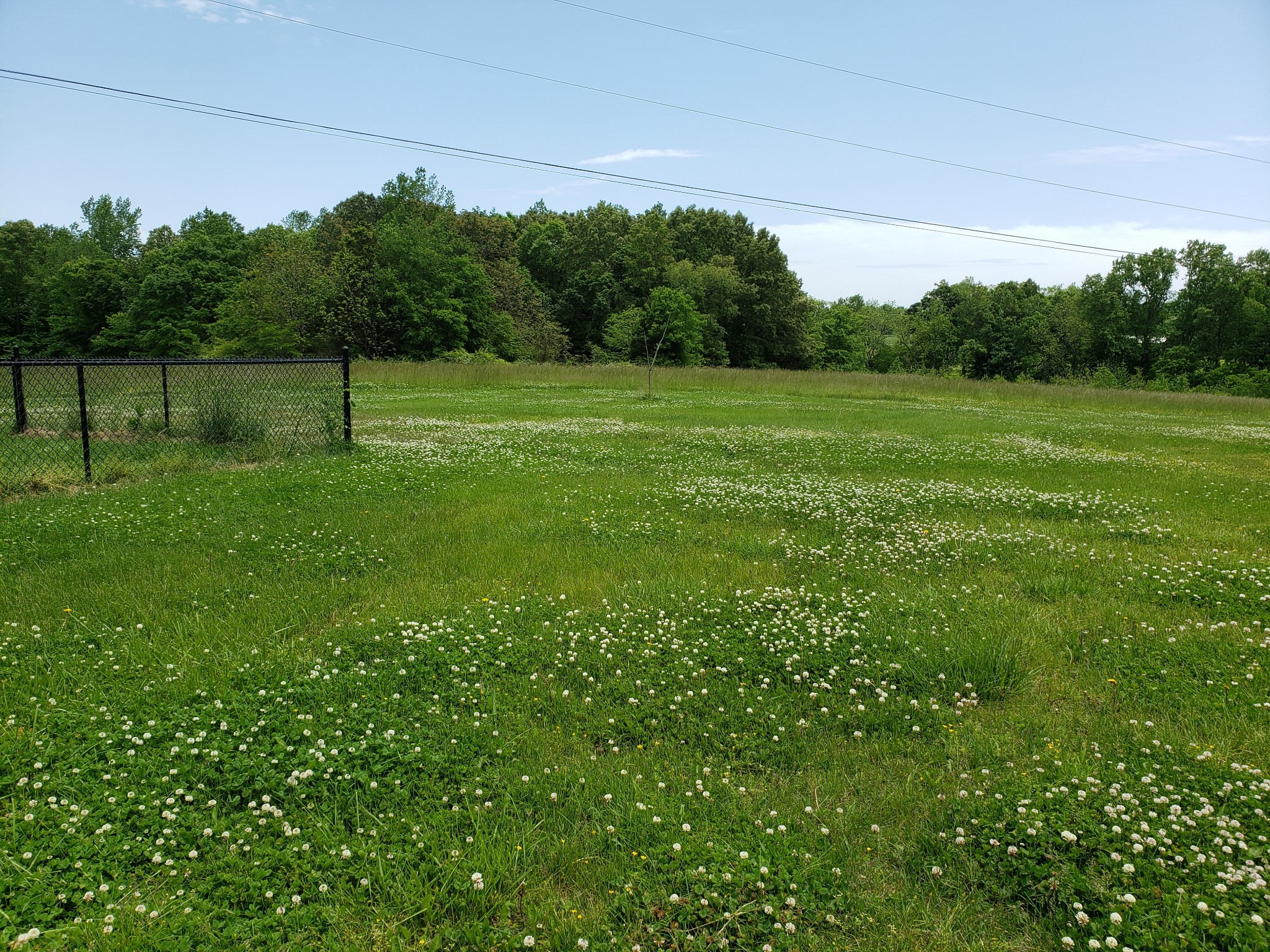 2570 Cheek Road Southside, TN 37171 - Photo 8 of 14 a view of a grassy field