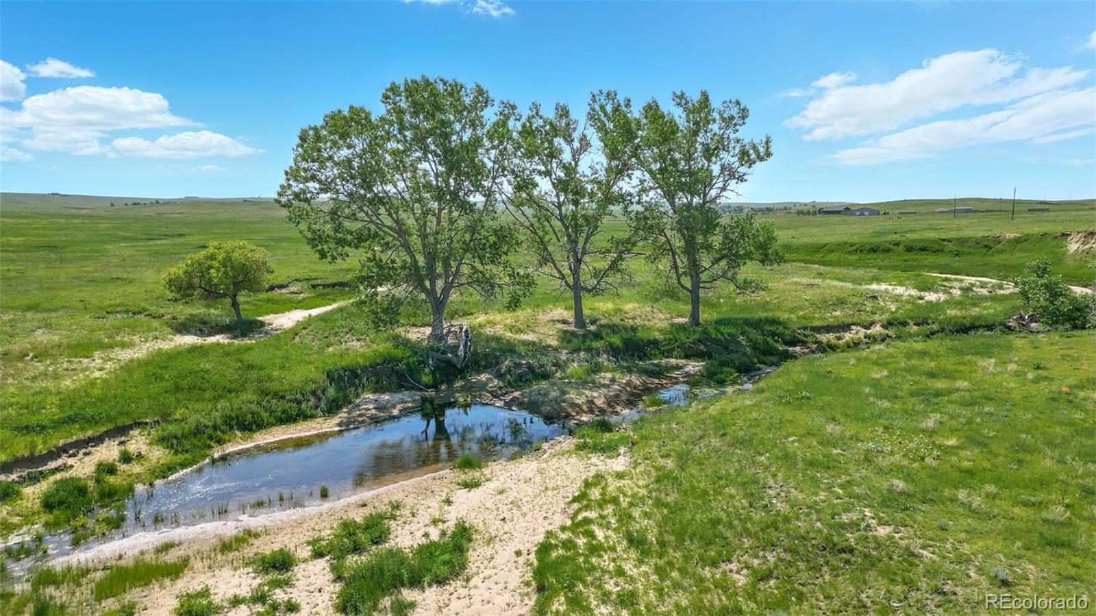 91 Parcel County Road, Unit 4 Ramah, CO 80832 - Photo 1 of 27 a view of a yard with an trees