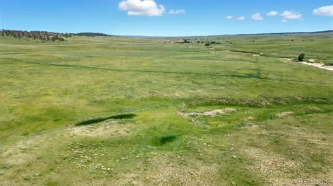 a view of an ocean from a yard