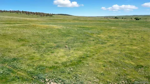 a view of an ocean from a yard