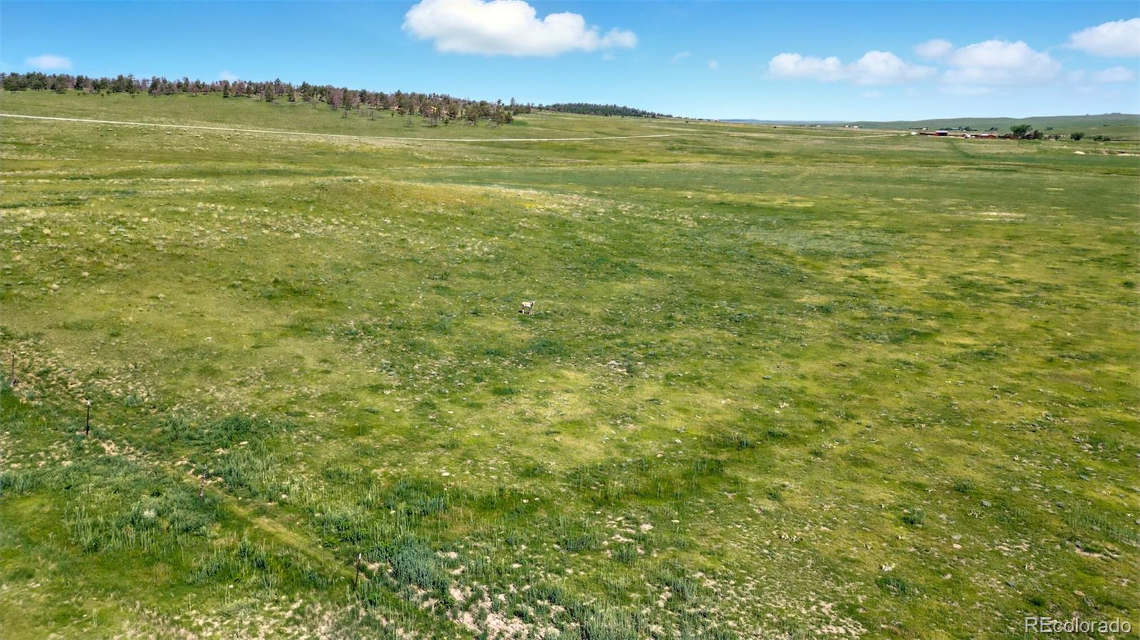 91 Parcel County Road, Unit 4 Ramah, CO 80832 - Photo 18 of 27 a view of an ocean from a yard