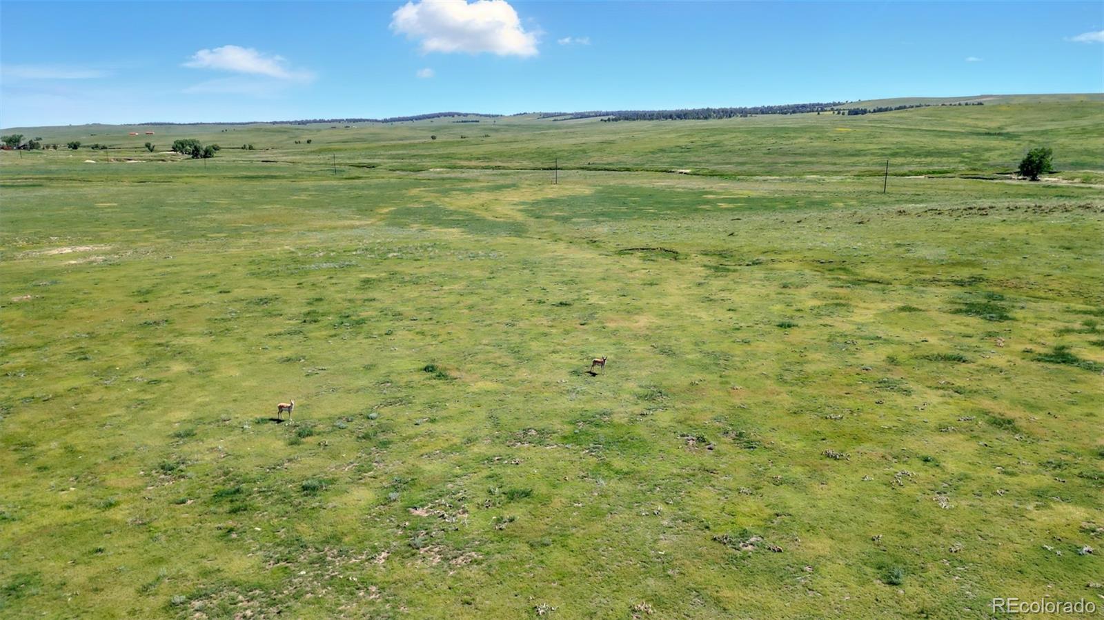 91 Parcel County Road, Unit 4 Ramah, CO 80832 - Photo 19 of 27 a view of an ocean view